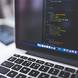 老牛耕田陈雪，老牛耕田陈雪小说免费阅读