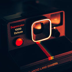 三叶草gw9355，小草回家永不迷路2024ty66