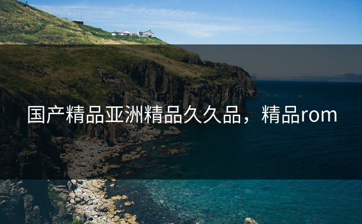 国产精品亚洲精品久久品，精品rom